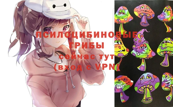 дмт Алексин