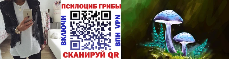 купить Алзамай Псилоцибиновые грибы мицелий